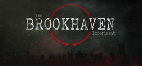 布鲁克海文实验(The Brookhaven Experiment)- 