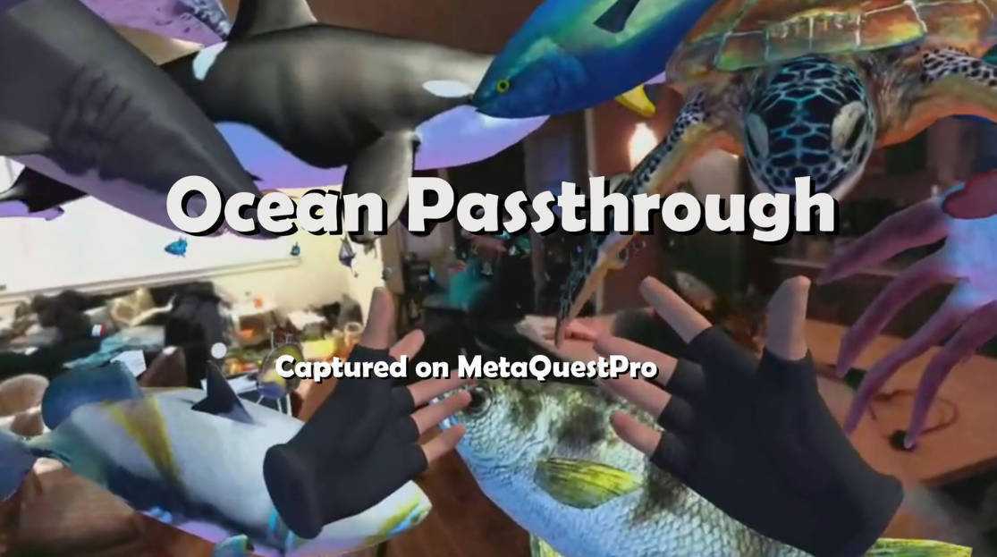 海洋世界(Ocean Passthrough)- Meta Quest游