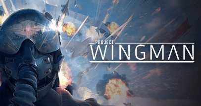 翼人计划VR(Project Wingman)